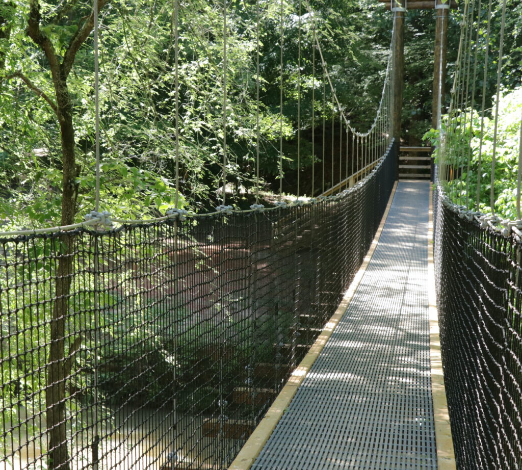 Greenway bridge for website